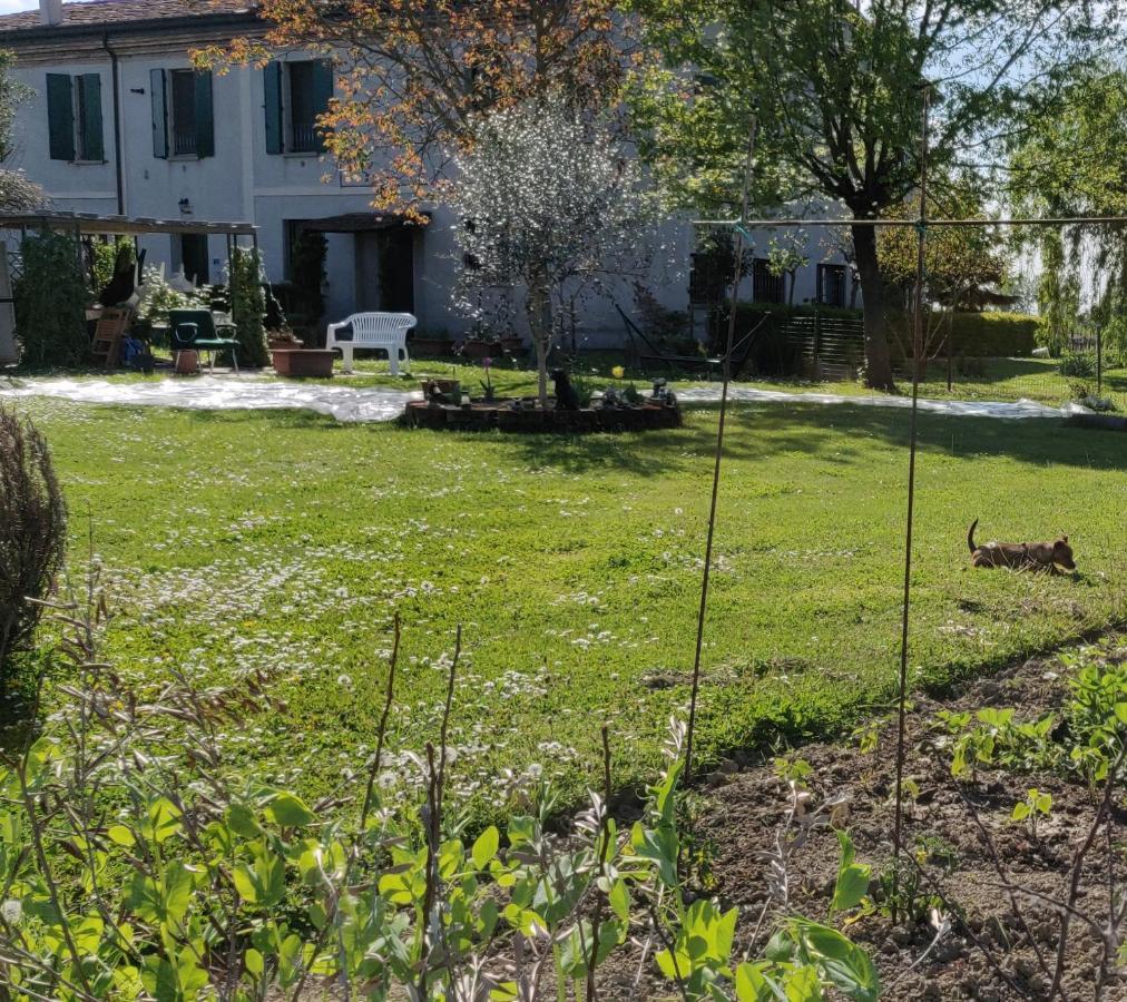 B&B Il Glicine Nascosto Cotignola Exteriör bild